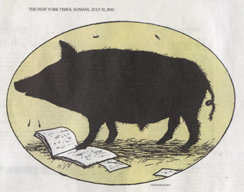 swine4.jpg